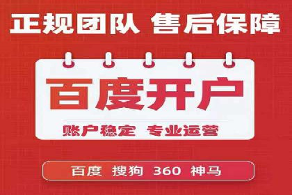 SEM代运营经典案例解析与启示