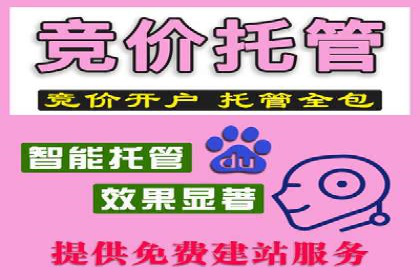 百度推广费用策略在竞争激烈市场的应用案例